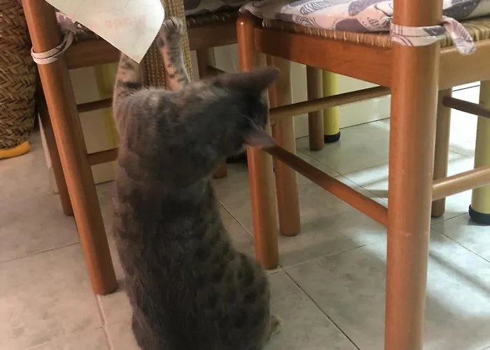 Appartamento Pavesi *